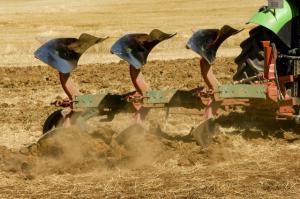 Aperos agrícolas que sustituyen el arado de vertedera para sembrar colza
