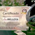 N. 1 Blades for Sugarcane Harvesters in Brazil VisaoAgro Prize
